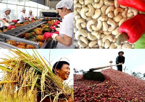 Ngành Nông nghiệp xuất siêu 7,45 tỷ USD trong 11 tháng - Ảnh 1.