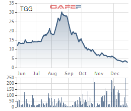 Cổ phiếu TGG giảm 90% so với đỉnh, chuyên gia kinh tế Lê Xuân Nghĩa quyết định cắt lỗ
