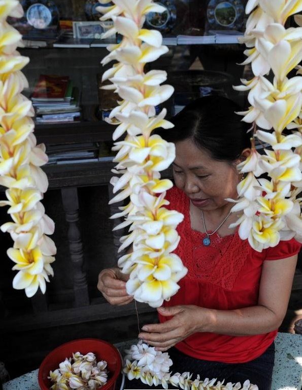 Tết Việt Nam thì không thể thiếu đào mai, còn người dân châu Á trưng hoa gì trong năm mới để có nhiều may mắn tài lộc? - Ảnh 4.