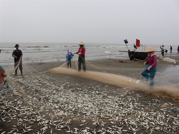 ‘Xông’ biển đầu năm, thu đậm ‘lộc’ trời - Ảnh 4.