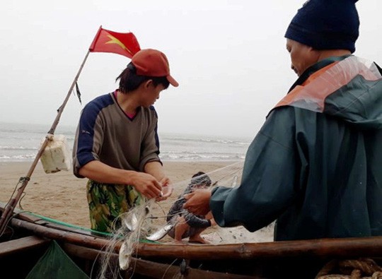 Ngư dân Sầm Sơn trúng đậm “lộc biển” ngày đầu năm mới - Ảnh 9.