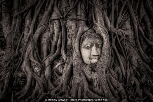 Bức tượng Phật 700 năm bị rễ cây nuốt chửng hé lộ sự tương đồng với nghệ thuật điêu khắc nổi tiếng nhất châu Âu - Ảnh 1.