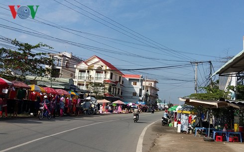 Sầu riêng được mùa được giá, nhiều nhà vườn có lãi cả tỷ đồng - Ảnh 1.