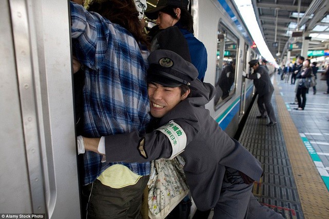 Những Oshiya hành nghề cực lạ ở Nhật Bản: Ngày làm việc 90 phút, công việc chỉ là ‘nhồi càng nhiều khách lên tàu điện càng tốt - Ảnh 1.