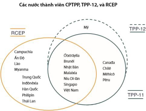 Ký kết được CPTPP, đừng vội mừng khi đến nay vẫn chưa rõ điều khoản cụ thể nào sẽ được đưa vào Hiệp định! - Ảnh 3.