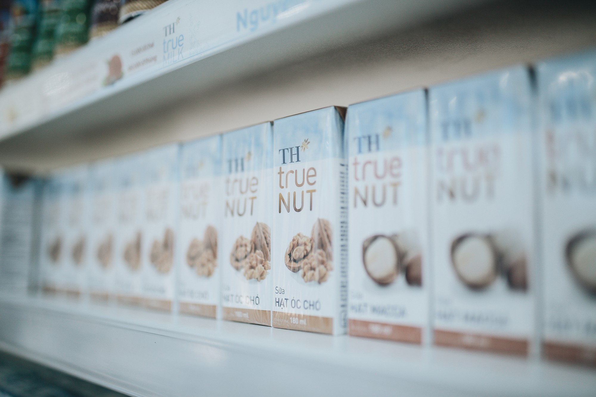 Tập đoàn TH chính thức ra mắt bộ sản phẩm sữa hạt Macca và Óc chó hoàn toàn thiên nhiên - Ảnh 1. Tập đoàn TH chính thức ra mắt bộ sản phẩm sữa hạt Macca và Óc chó hoàn toàn thiên nhiên - Ảnh 1.