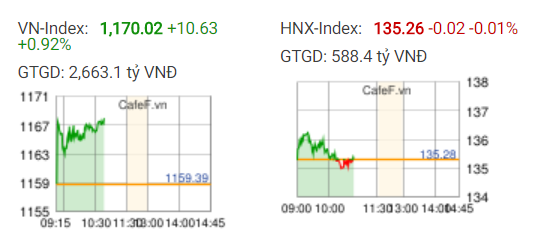 VnIndex mất mốc lịch sử 1.170 điểm trong những phút cuối phiên, bất chấp nỗ lực bứt phá từ VIC, GAS, BVH, ROS… - Ảnh 1.