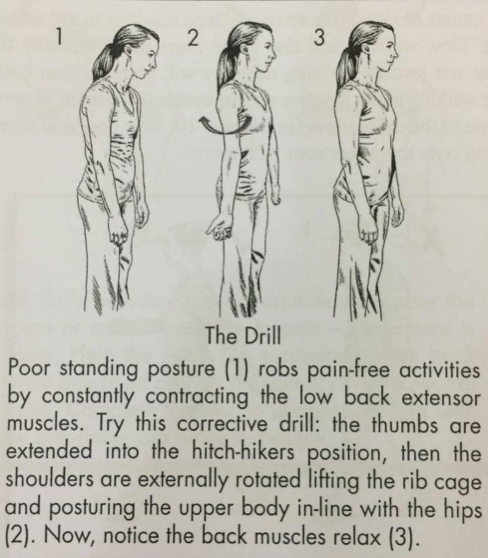 Hướng dẫn đứng và ngồi đúng cách, giúp dân văn phòng giảm nguy cơ đau mỏi cột sống - Ảnh 7.