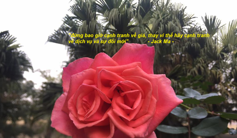 Chuyện cuối tuần: Cô bé phục vụ quán cháo đêm và bài học kinh doanh Tạo ra sự khác biệt từ những điều nhỏ nhất - Ảnh 3. Chuyện cuối tuần: Cô bé phục vụ quán cháo đêm và bài học kinh doanh Tạo ra sự khác biệt từ những điều nhỏ nhất - Ảnh 3.