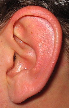  Nhìn tai bắt bệnh: Những dấu hiệu nguy hiểm bạn không ngờ - Ảnh 1.