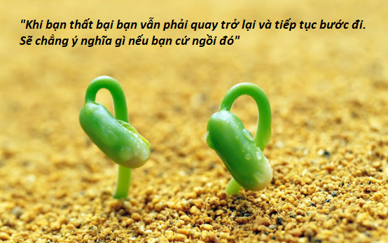 Đừng mong đợi cỗ xe bí ngô nào đó sẽ đỗ trước cổng nhà đợi bạn - vì trông đẹp vậy thôi, chứ xe bí ngô có lẽ cũng xóc lắm! - Ảnh 1.