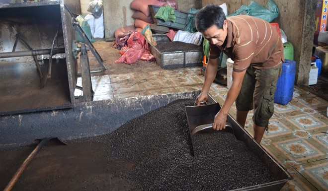 (SỐC) Phát hiện nhiều mẫu cà phê bột không có… cà phê ở Đắk Nông! - Ảnh 1. (SỐC) Phát hiện nhiều mẫu cà phê bột không có… cà phê ở Đắk Nông! - Ảnh 1.