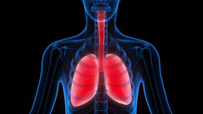 Lợi ích về sức khoẻ đáng kinh ngạc khi đi bộ 30 phút mỗi ngày - Ảnh 2. Lợi ích về sức khoẻ đáng kinh ngạc khi đi bộ 30 phút mỗi ngày - Ảnh 2.