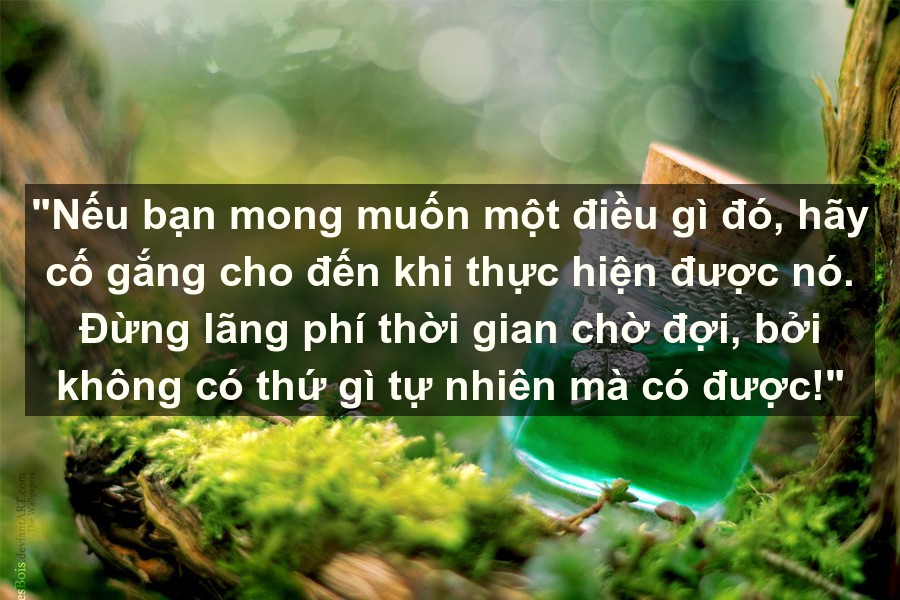 20 câu nói sẽ thay đổi hoàn toàn cách nhìn của bạn, đừng đợi đến tuổi xế chiều mới nhận ra giá trị đích thực của cuộc sống - Ảnh 20. 20 câu nói sẽ thay đổi hoàn toàn cách nhìn của bạn, đừng đợi đến tuổi xế chiều mới nhận ra giá trị đích thực của cuộc sống - Ảnh 20.