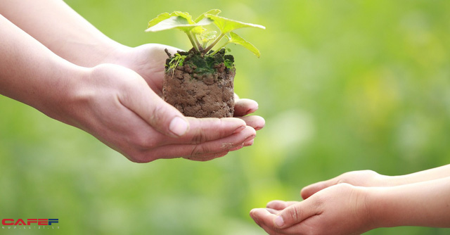 Câu chuyện Người gánh nước và cái bình nứt: Đừng bao giờ coi nhẹ bản thân ngay cả khi bạn không hoàn hảo - Ảnh 1.