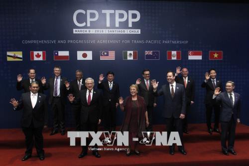  Mexico phê chuẩn Hiệp định CPTPP  - Ảnh 1.