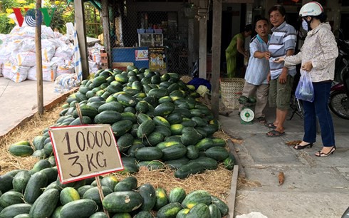 Nông sản Việt thua trên “sân nhà” vì người tiêu dùng kém tin tưởng - Ảnh 1.