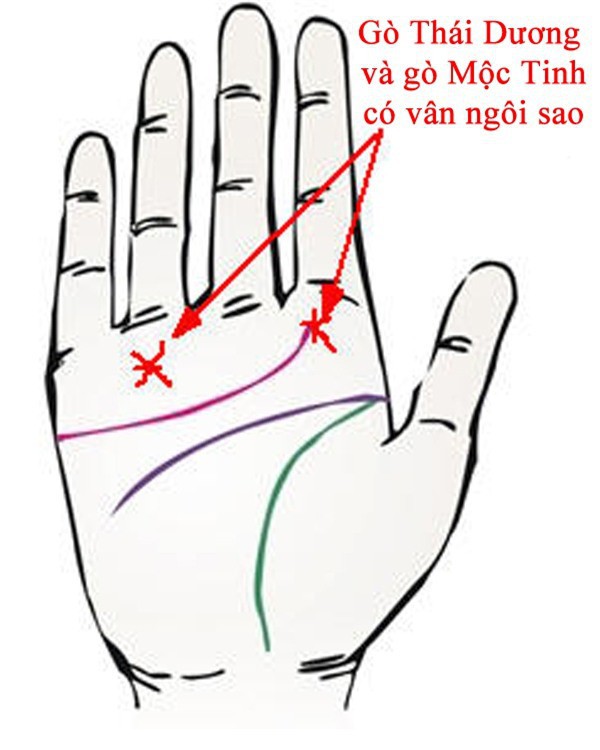 Bàn tay nhưng mà đem 12 tín hiệu này, các bạn sẽ phú quý quang vinh cả đời, quan trọng số 10 rất ít bắt gặp - Hình ảnh 3.