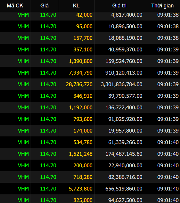 Kỷ lục mới của TTCK: Lượng cổ phiếu VinHomes trị giá 1,35 tỷ USD được giao dịch chỉ trong 1 phiên - Ảnh 1.