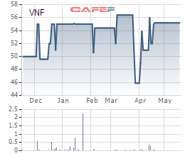 Thị giá 55.200 đồng/cp, Vinafreight dự kiến chào 2,8 triệu cổ phiếu giá 20.000 đồng/cp cho cổ đông hiện hữu - Ảnh 1.