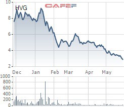 Cổ phiếu HVG của Hùng Vương bị đưa vào diện bị kiểm soát đặc biệt để bảo vệ nhà đầu tư - Ảnh 1.