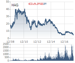 Cổ phiếu HAG liên tục dò đáy, bầu Đức đăng ký mua 20 triệu cổ phiếu - Ảnh 2.