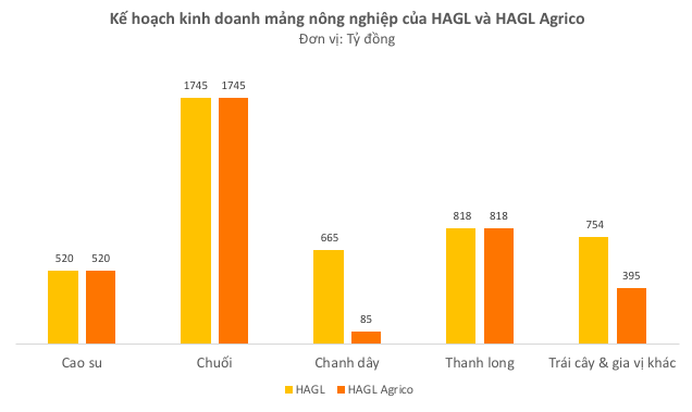 Chanh dây là khác biệt lớn nhất trong kế hoạch kinh doanh mảng nông nghiệp của HAG và HNG - Ảnh 2.