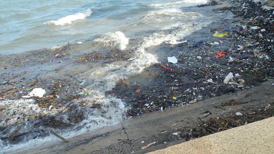 Vũng Tàu: Các bãi tắm lo mất khách vì núi rác từ biển - Ảnh 3.