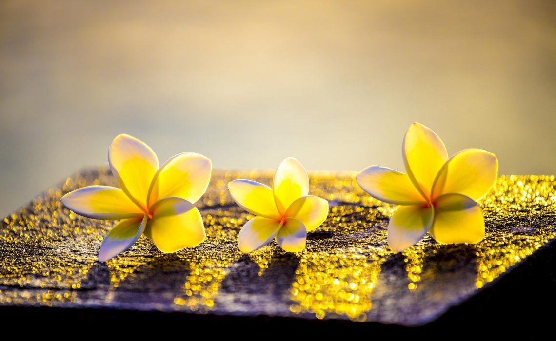 5 kỹ thuật thiền đơn giản giúp bạn thoát khỏi mớ bòng bong của cuộc sống trong tích tắc và lấy lại trí tuệ minh mẫn - Ảnh 6. 5 kỹ thuật thiền đơn giản giúp bạn thoát khỏi mớ bòng bong của cuộc sống trong tích tắc và lấy lại trí tuệ minh mẫn - Ảnh 6.