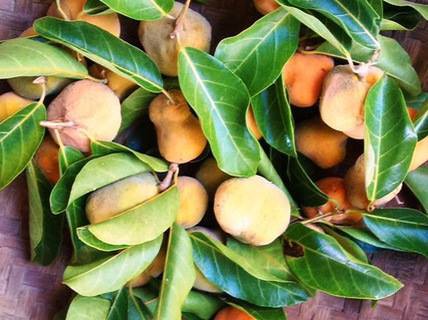 Những loại quả rẻ như cho ở nhà quê nhưng đắt đỏ ngang trái cây nhập khẩu tại Hà Nội  - Ảnh 2.