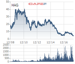 Cổ phiếu rơi về mức thấp nhất trong lịch sử, bầu Đức chỉ mua được 1/4 lượng cổ phiếu HAG đã đăng ký - Ảnh 2.
