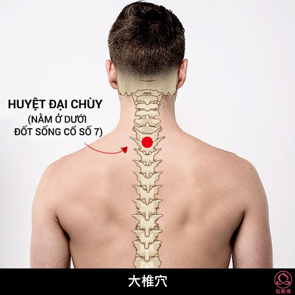 3 huyệt vị giúp phòng chữa bệnh gan nhiễm mỡ: Cách bấm đơn giản, hiệu quả lâu dài - Ảnh 5.