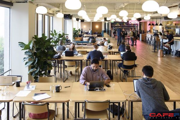 Nghiên cứu từ trường Đại học Harvard: Văn phòng thiết kế dạng không gian mở khiến nhân viên ít giao tiếp trực diện, họ cắm mặt vào máy tính hoặc đeo tai nghe để tránh bị xao lãng  - Ảnh 2.
