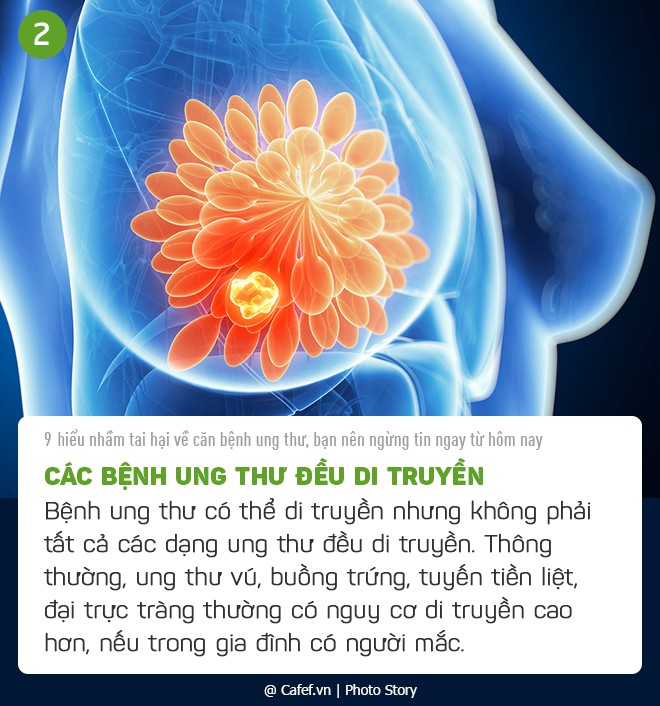9 hiểu lầm tai hại về căn bệnh ung thư, bạn nên ngừng tin ngay từ hôm nay - Ảnh 2. 9 hiểu lầm tai hại về căn bệnh ung thư, bạn nên ngừng tin ngay từ hôm nay - Ảnh 2.