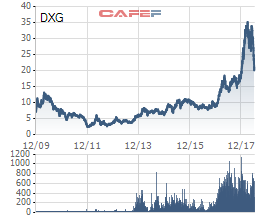 Quý 2/2018, Đất Xanh Group (DXG) thu về 114 tỷ đồng lãi ròng hợp nhất - Ảnh 1.