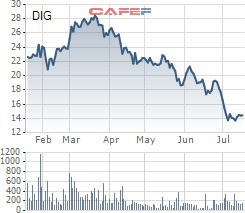 DIG giảm sâu, Phó Chủ tịch DIC Corp tranh thu gom thêm lượng lớn cổ phiếu - Ảnh 1.