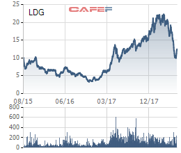 Cổ phiếu rơi dựng đứng, LDG Group báo lãi công ty mẹ nửa đầu năm giảm 42% xuống 112 tỷ đồng - Ảnh 2.