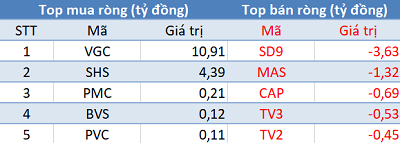 Khối ngoại tiếp tục bán ròng trong phiên cuối tuần, tập trung VIC, IDC - Ảnh 2.