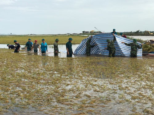 Nông dân thiệt hại nặng vì mưa dầm - Ảnh 1.