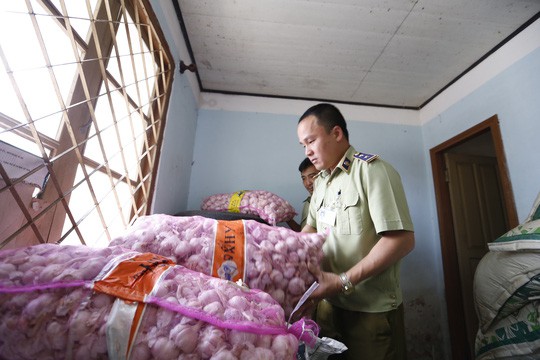 Tịch thu gần 4 tấn cà rốt Trung Quốc nhập lậu - Ảnh 2.