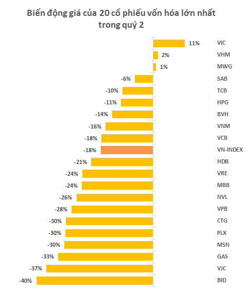 Những tội đồ làm VN-Index mất 214 điểm, giảm sâu nhất thế giới quý 2: Nhóm ngân hàng dẫn đầu - Ảnh 2.