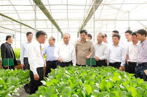 Sáng nay, Thủ tướng dự hội nghị thúc đẩy doanh nghiệp đầu tư vào nông nghiệp - Ảnh 1.