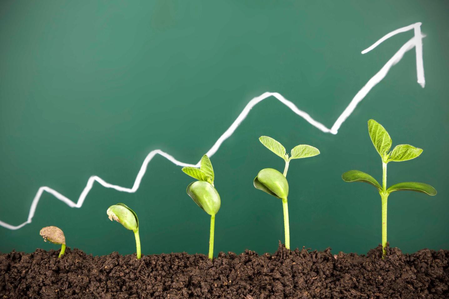 4 bài học khó khăn mà bất cứ doanh nhân thành công nào đều phải trải qua - Ảnh 2. 4 bài học khó khăn mà bất cứ doanh nhân thành công nào đều phải trải qua - Ảnh 2.