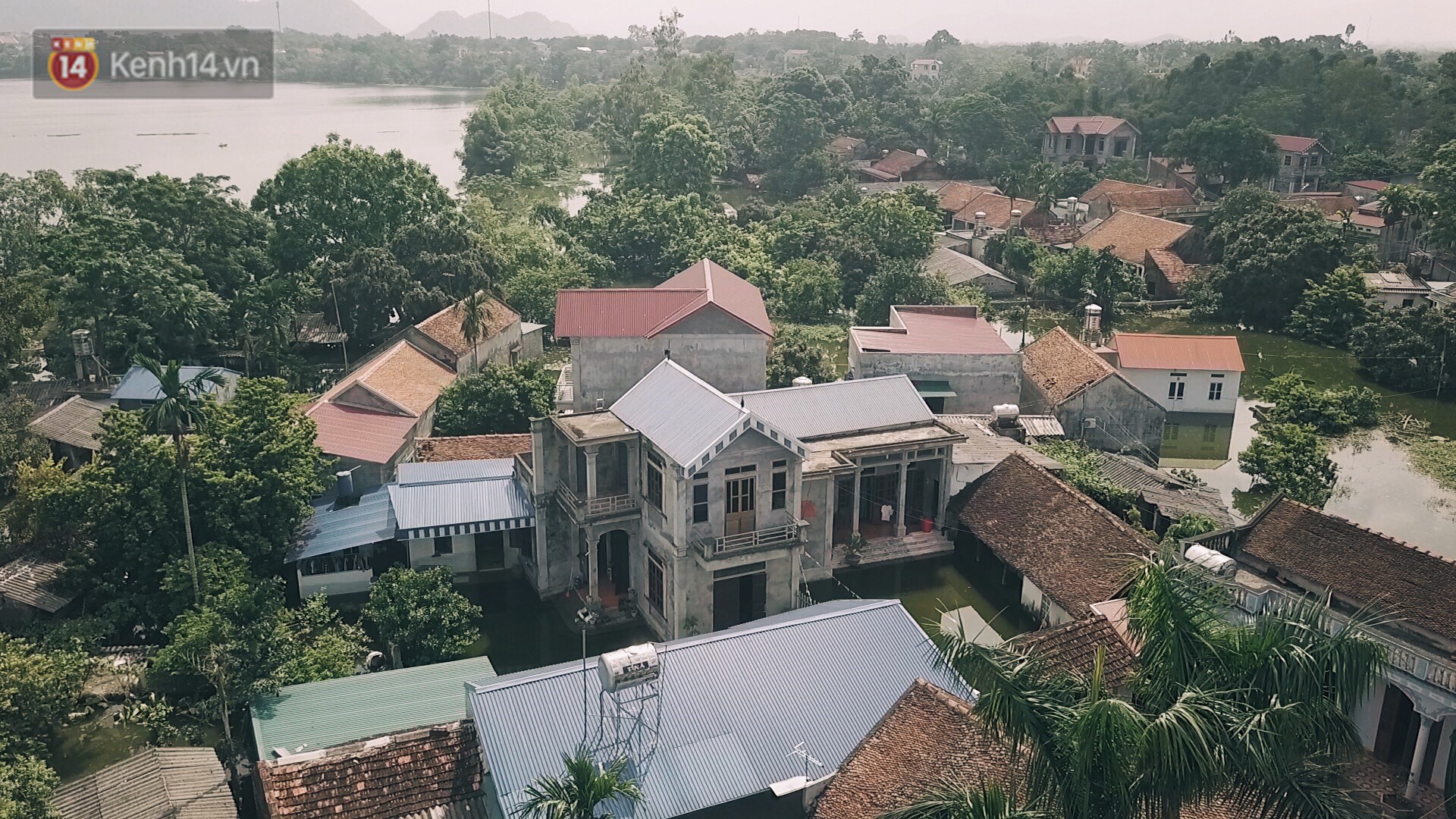 Những ngày lênh đênh ở Chương Mỹ: Trâu bò lặn ngụp, vịt trèo lên những mái nhà khi nước dâng đến tận nóc - Ảnh 1. Những ngày lênh đênh ở Chương Mỹ: Trâu bò lặn ngụp, vịt trèo lên những mái nhà khi nước dâng đến tận nóc - Ảnh 1.