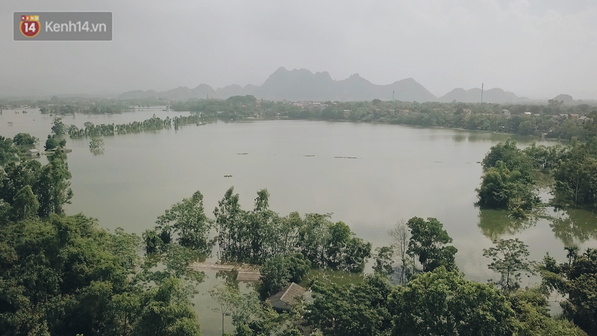 Những ngày lênh đênh ở Chương Mỹ: Trâu bò lặn ngụp, vịt trèo lên những mái nhà khi nước dâng đến tận nóc - Ảnh 2. Những ngày lênh đênh ở Chương Mỹ: Trâu bò lặn ngụp, vịt trèo lên những mái nhà khi nước dâng đến tận nóc - Ảnh 2.