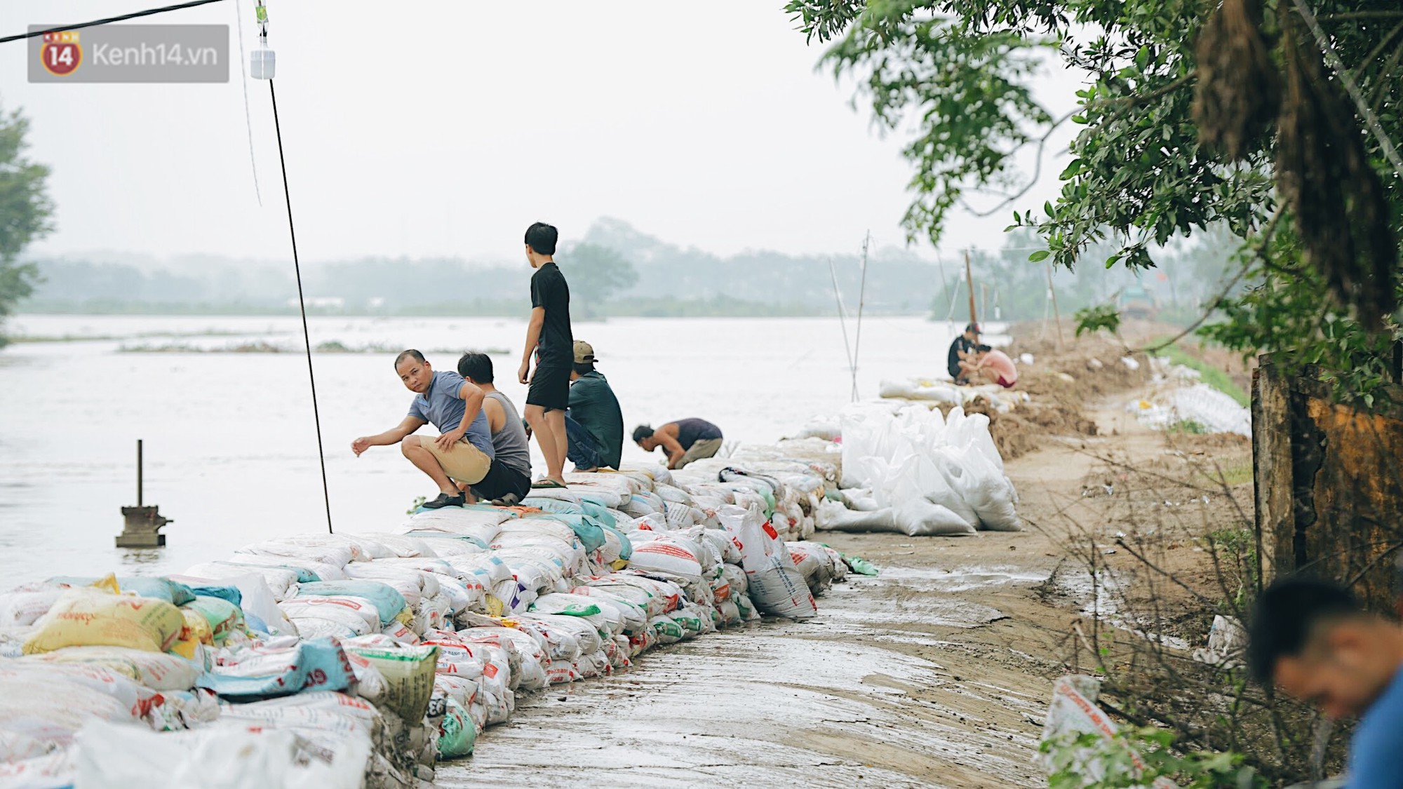 Những ngày lênh đênh ở Chương Mỹ: Trâu bò lặn ngụp, vịt trèo lên những mái nhà khi nước dâng đến tận nóc - Ảnh 11. Những ngày lênh đênh ở Chương Mỹ: Trâu bò lặn ngụp, vịt trèo lên những mái nhà khi nước dâng đến tận nóc - Ảnh 11.