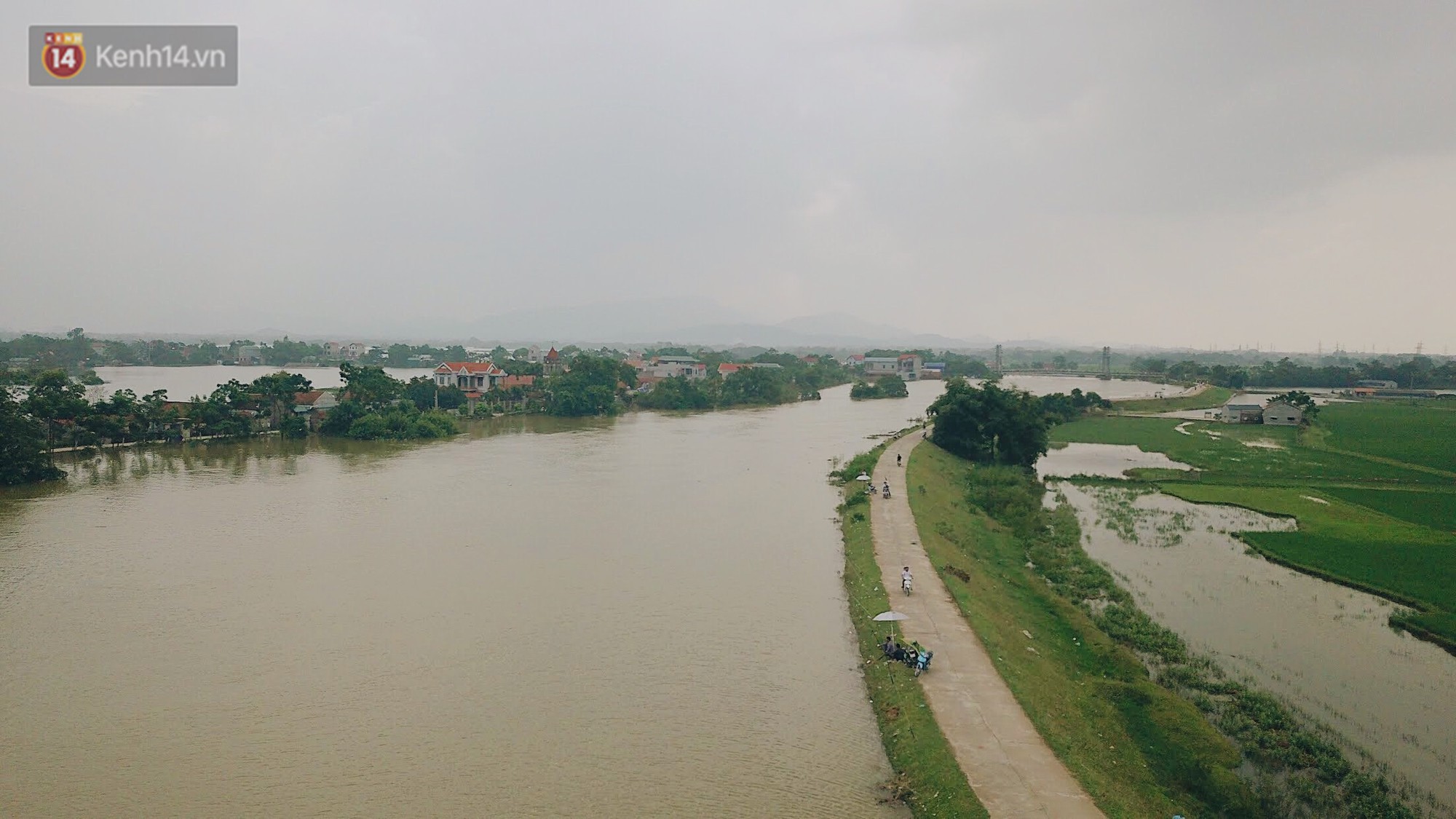 Những ngày lênh đênh ở Chương Mỹ: Trâu bò lặn ngụp, vịt trèo lên những mái nhà khi nước dâng đến tận nóc - Ảnh 12. Những ngày lênh đênh ở Chương Mỹ: Trâu bò lặn ngụp, vịt trèo lên những mái nhà khi nước dâng đến tận nóc - Ảnh 12.