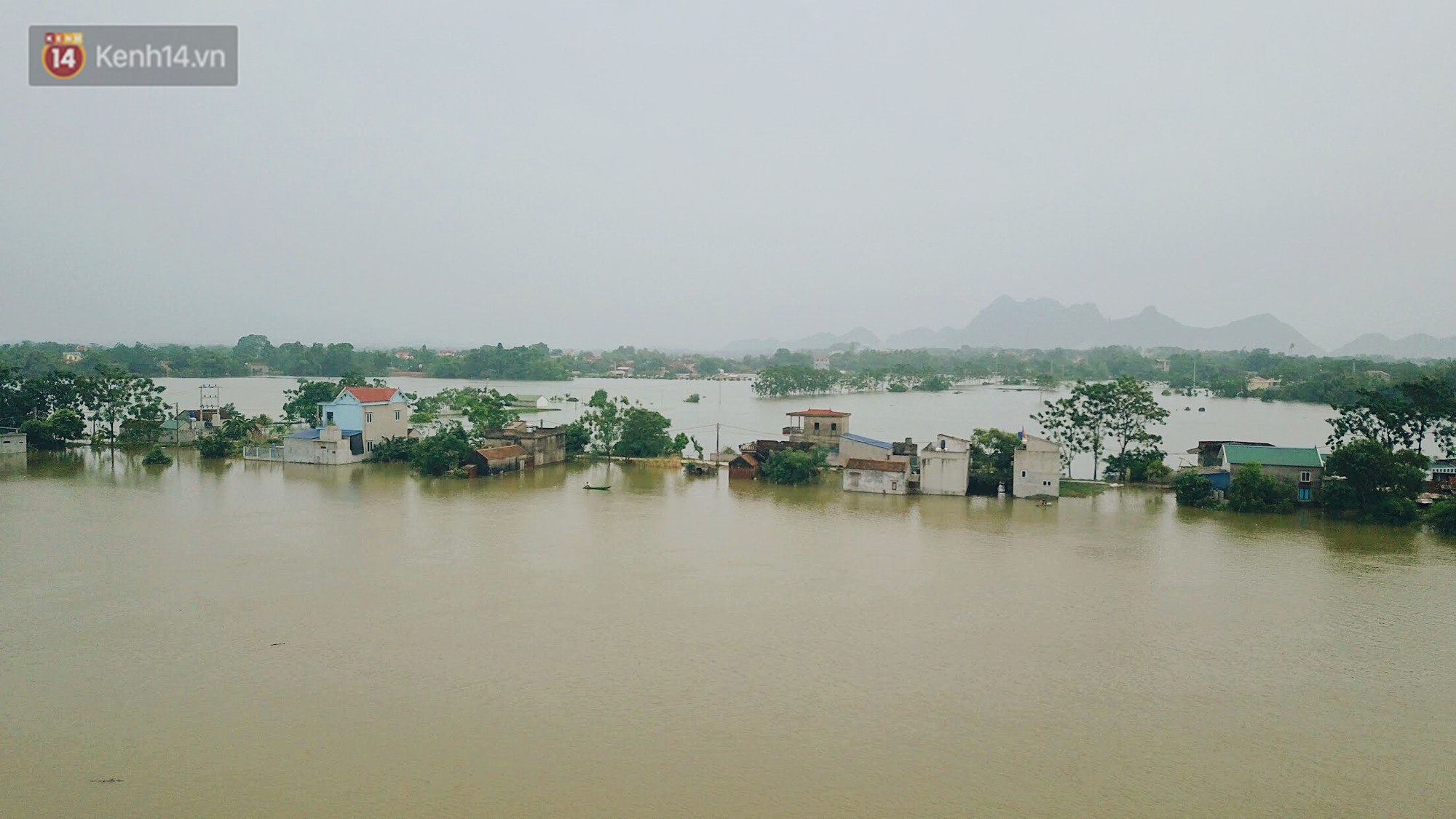Những ngày lênh đênh ở Chương Mỹ: Trâu bò lặn ngụp, vịt trèo lên những mái nhà khi nước dâng đến tận nóc - Ảnh 13. Những ngày lênh đênh ở Chương Mỹ: Trâu bò lặn ngụp, vịt trèo lên những mái nhà khi nước dâng đến tận nóc - Ảnh 13.