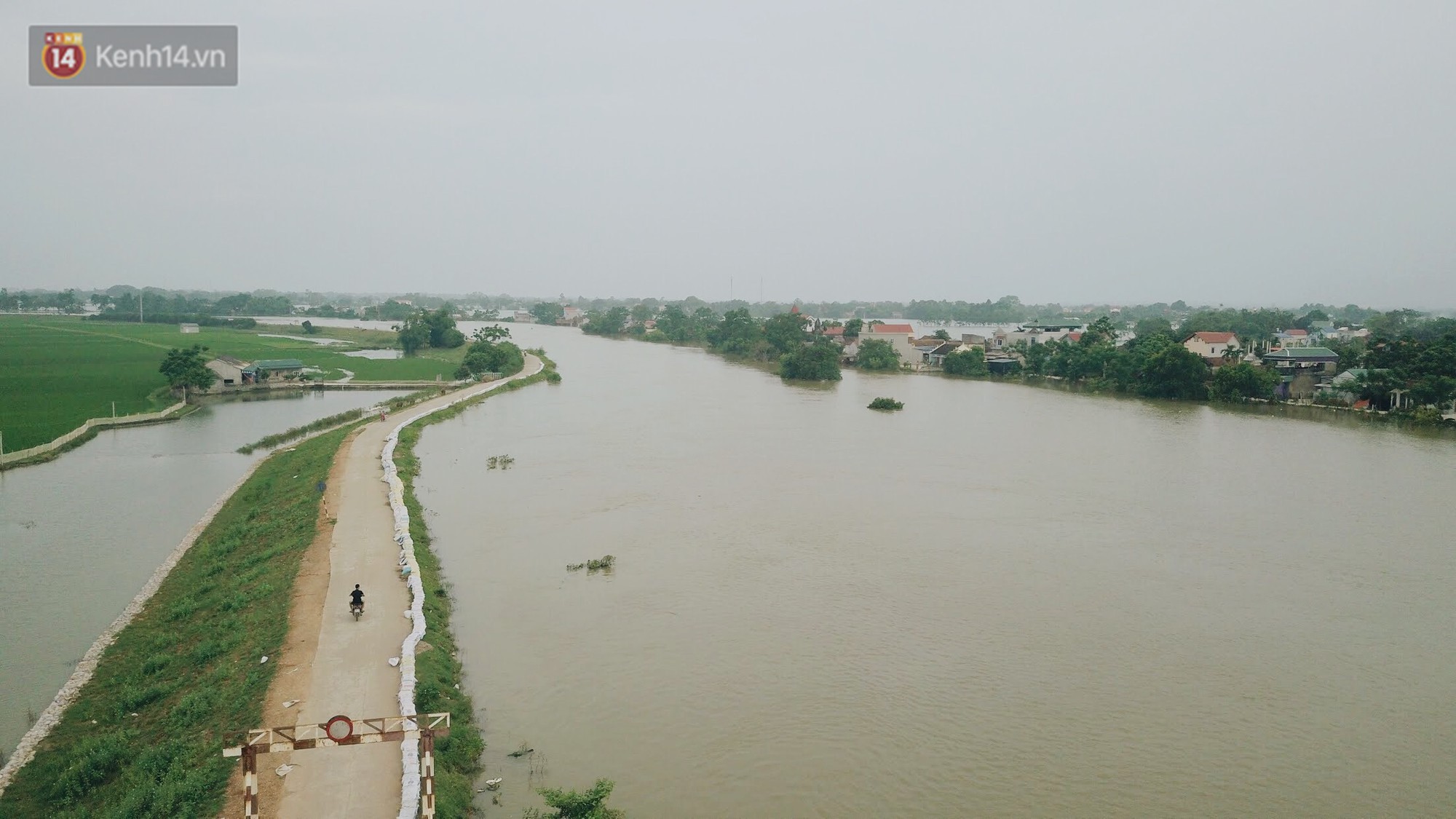 Những ngày lênh đênh ở Chương Mỹ: Trâu bò lặn ngụp, vịt trèo lên những mái nhà khi nước dâng đến tận nóc - Ảnh 17. Những ngày lênh đênh ở Chương Mỹ: Trâu bò lặn ngụp, vịt trèo lên những mái nhà khi nước dâng đến tận nóc - Ảnh 17.