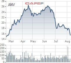 ANV giảm sâu, Chủ tịch Công ty Nam Việt đã tranh thủ mua thêm 2 triệu cổ phiếu - Ảnh 1.